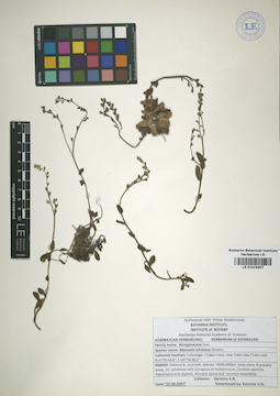LE 01015907