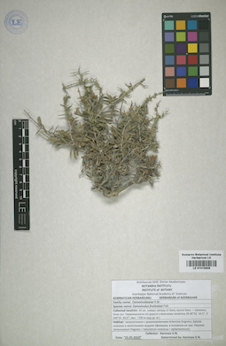 LE 01015909