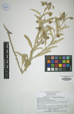 LE 01015910