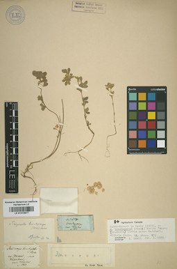 LE 01015977