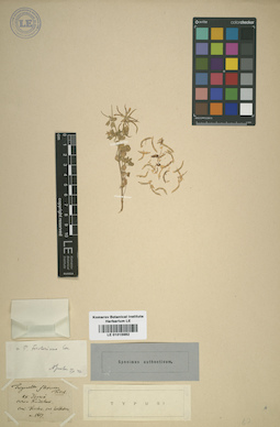 LE 01015982