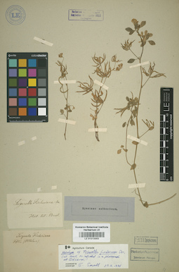 LE 01015983