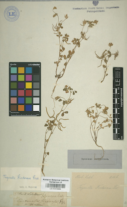 LE 01015984
