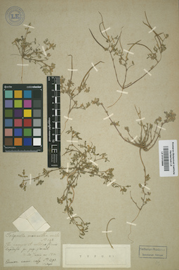 LE 01015986