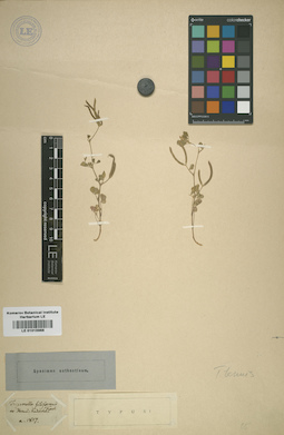 LE 01015988