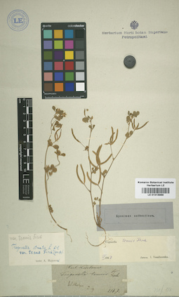 LE 01015989