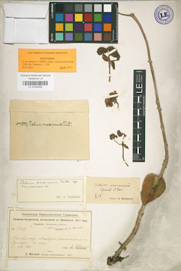 LE 01024059