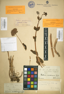 LE 01024061