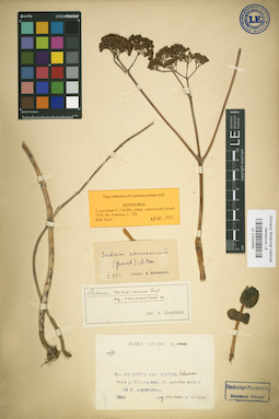 LE 01024062