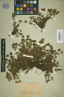 LE 01026001