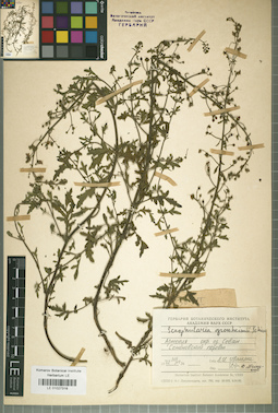 LE 01027318