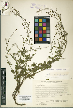 LE 01027319