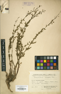 LE 01027320