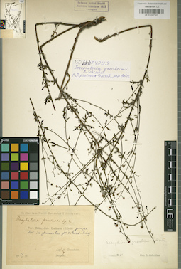 LE 01027327