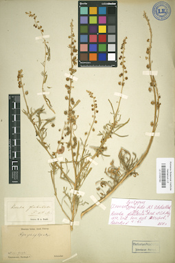LE 01032182