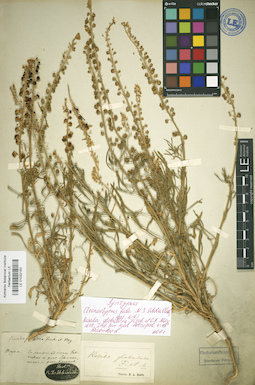 LE 01032183