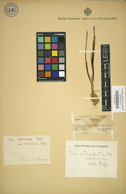 LE 01041513