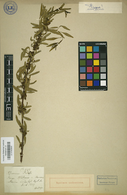 LE 01042933