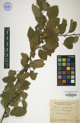 LE 01042940