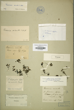 LE 01042987