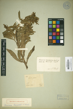 LE 01043838