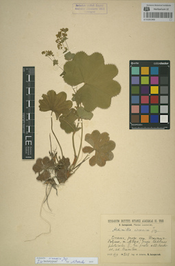 LE 01051905
