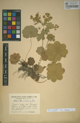 LE 01051907