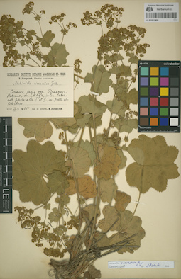 LE 01051908