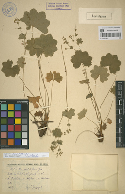 LE 01051941