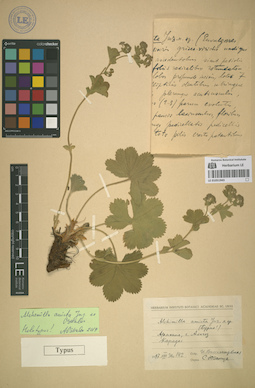 LE 01051943