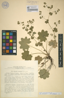 LE 01051944