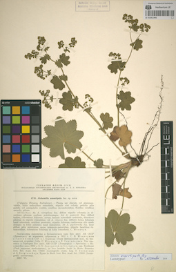 LE 01051945