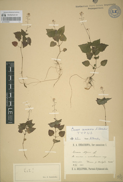 LE 01053053