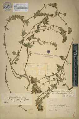 LE 01064165