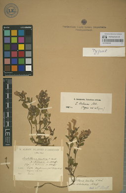 LE 01064169