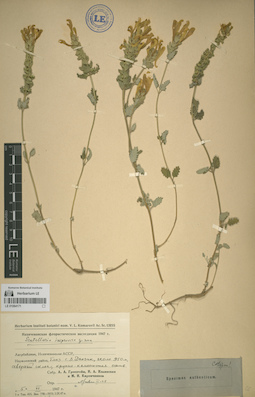 LE 01064171
