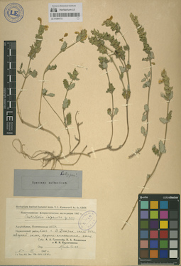 LE 01064172