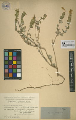 LE 01064173