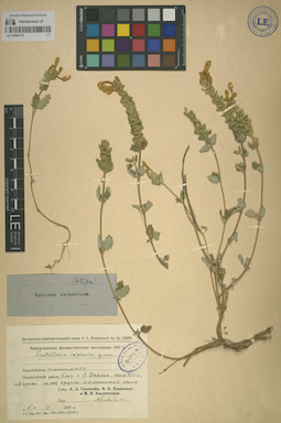 LE 01064175
