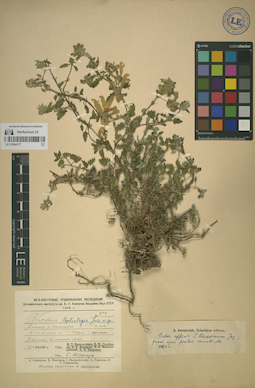 LE 01064177
