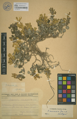 LE 01064178