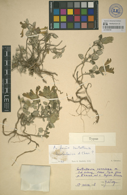LE 01064180