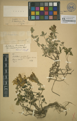 LE 01064182