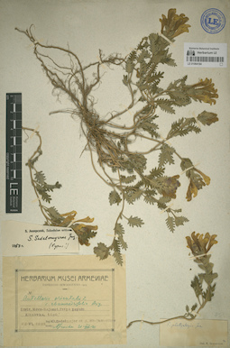 LE 01064184