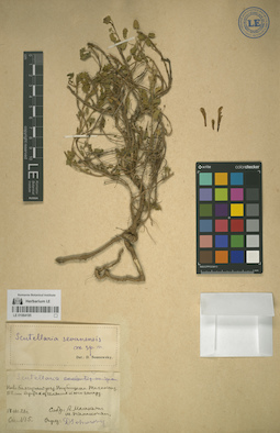 LE 01064185