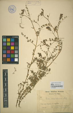 LE 01064240