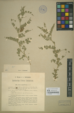 LE 01064243