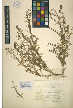 LE 01064244