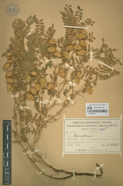 LE 01064247