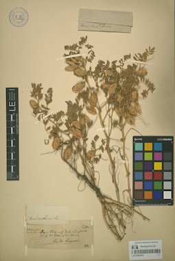 LE 01064253